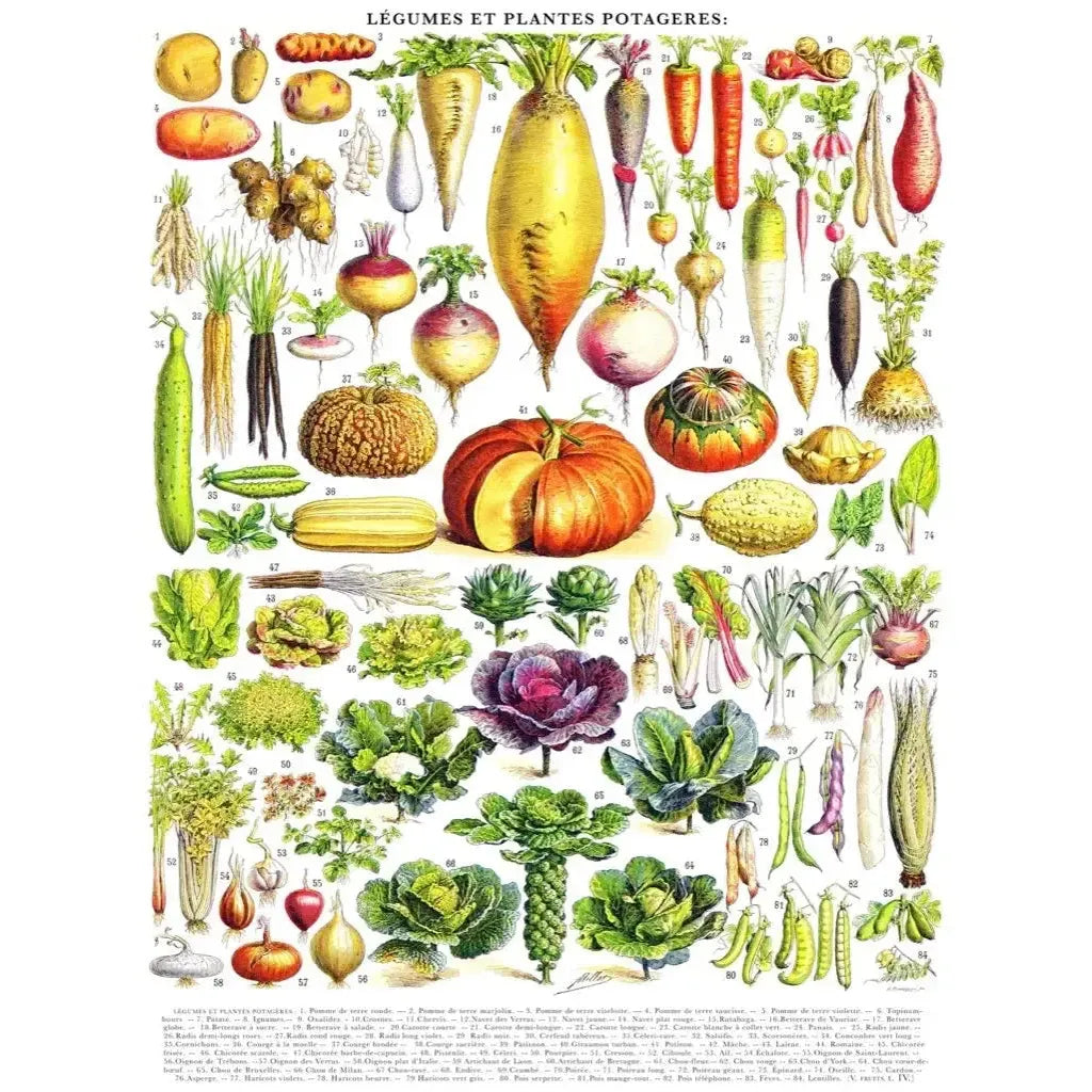 Vegetables ~ Légumes 1000 Piece Jigsaw Puzzle NYPC