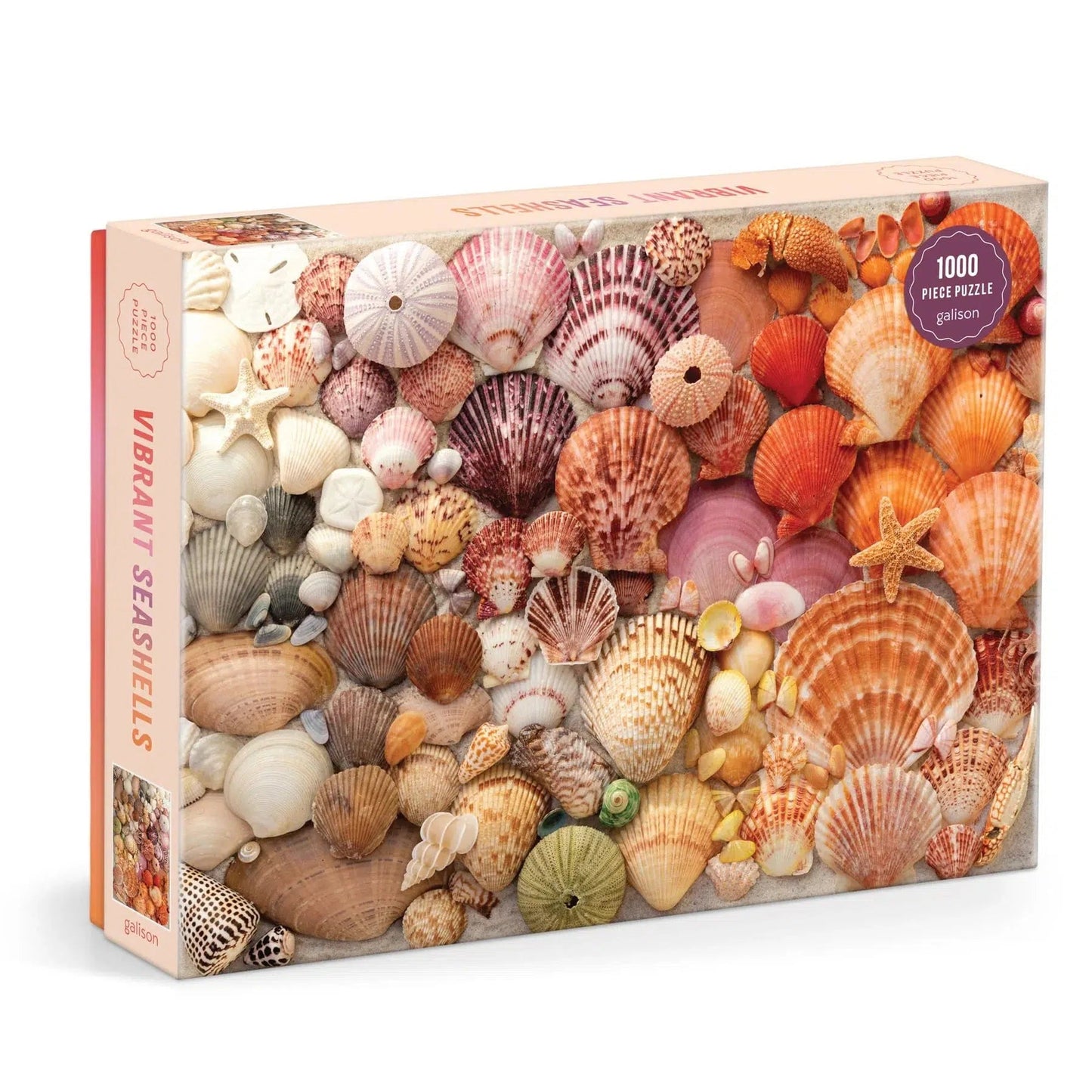 Vibrant Seashells 1000 Piece Jigsaw Puzzle Galison