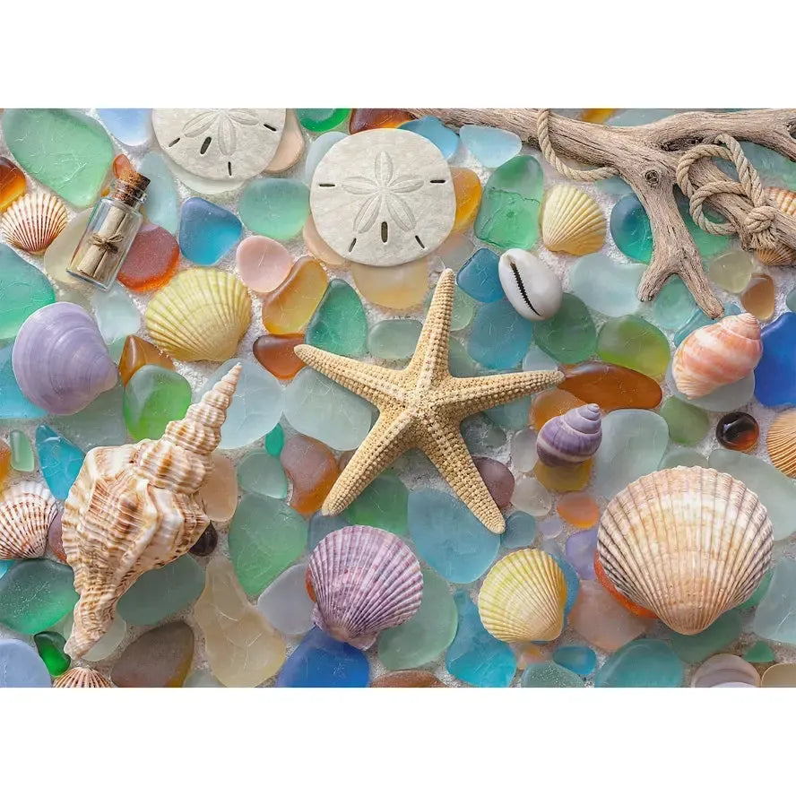 Washed Ashore 1000 Piece Jigsaw Puzzle Final Piece