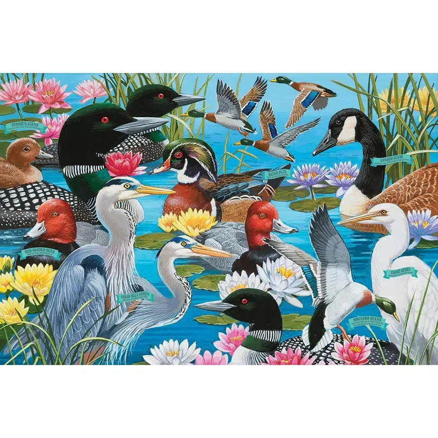 Water Birds 36 Piece Floor Jigsaw Puzzle Cobble Hill