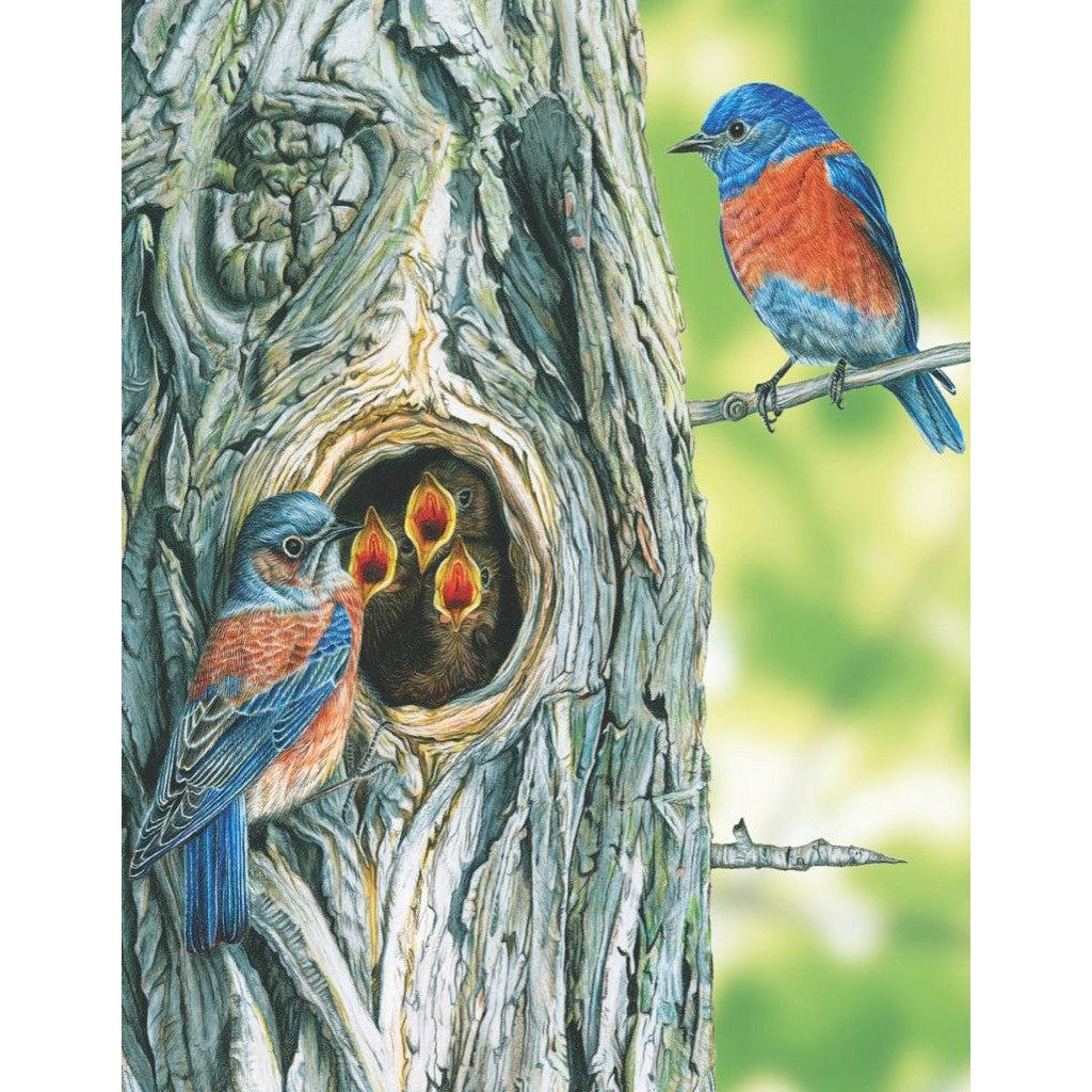 Western Bluebird 100 Piece Mini Jigsaw Puzzle NYPC