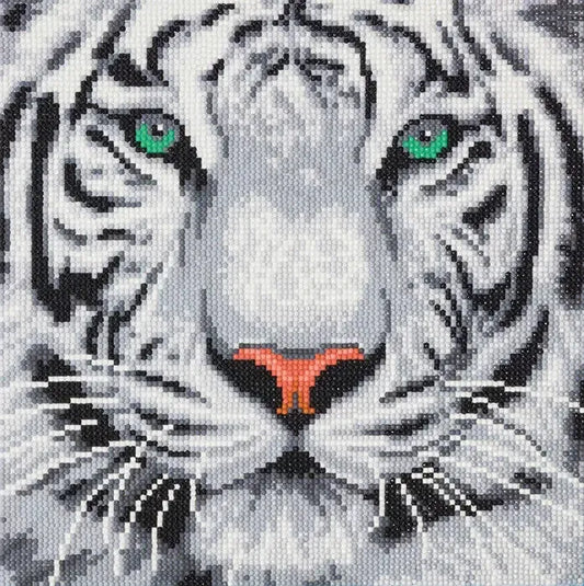 White Tiger Crystal Art Framed Canvas Kit Craft Buddy