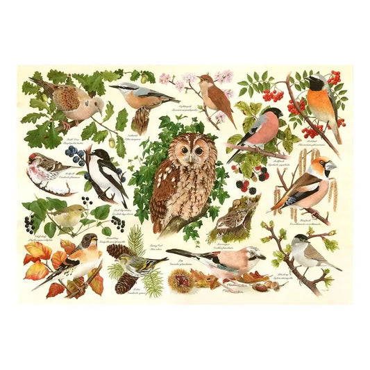Woodland Birds 500 Big Piece Jigsaw Puzzle HOP