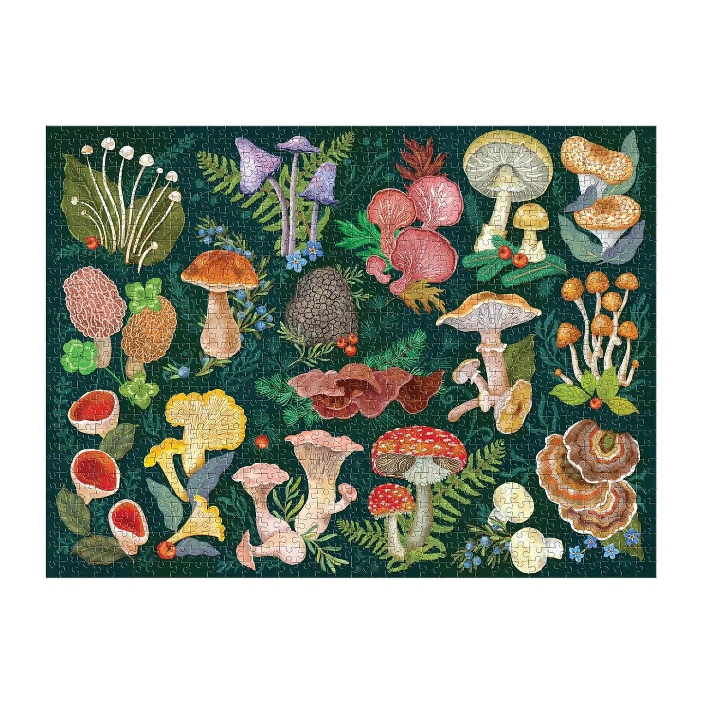 World of Mushrooms 1000 Piece Jigsaw Puzzle Galison