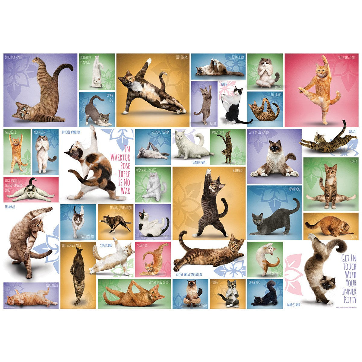 Yoga Cats 1000 Piece Jigsaw Puzzle Eurographics