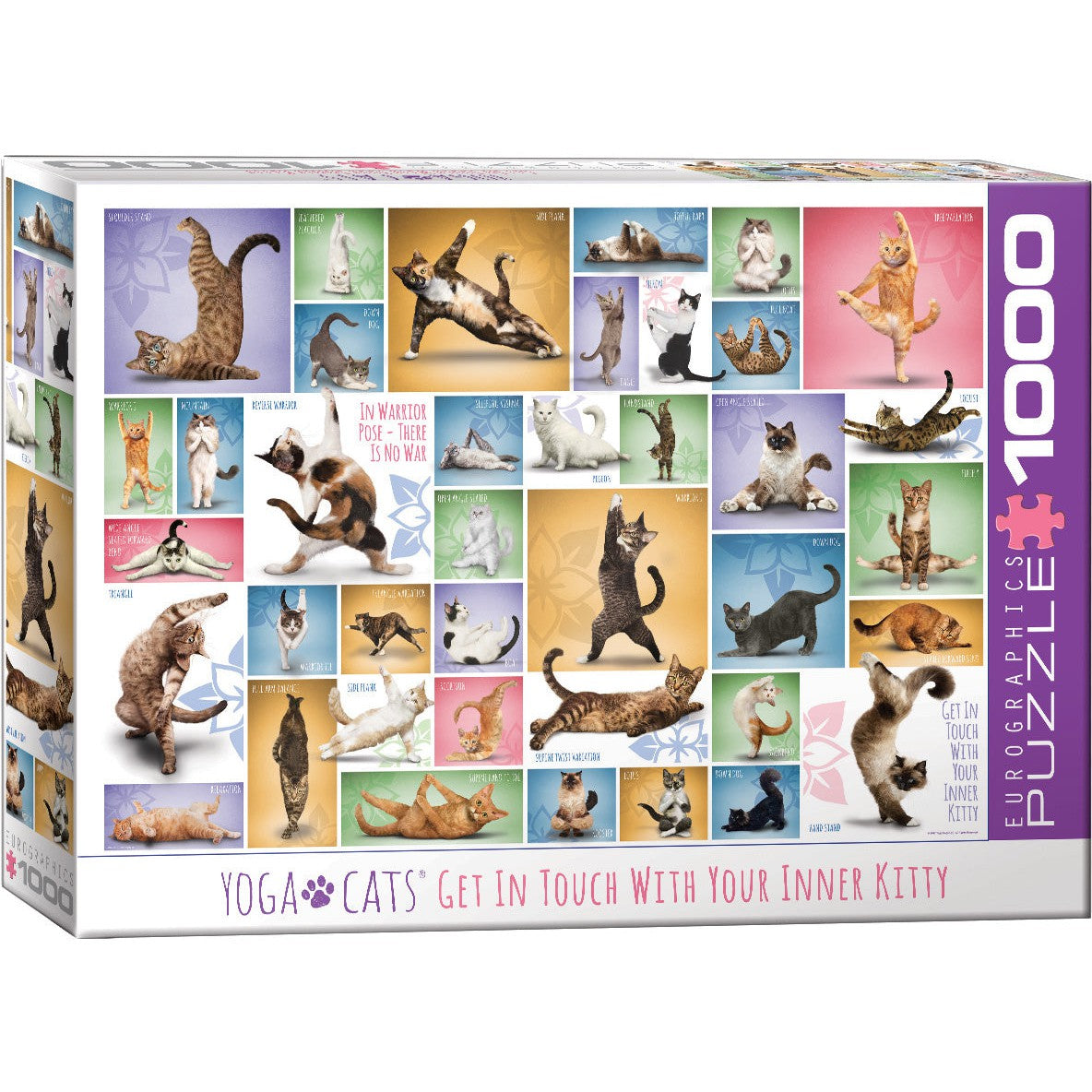 Yoga Cats 1000 Piece Jigsaw Puzzle Eurographics