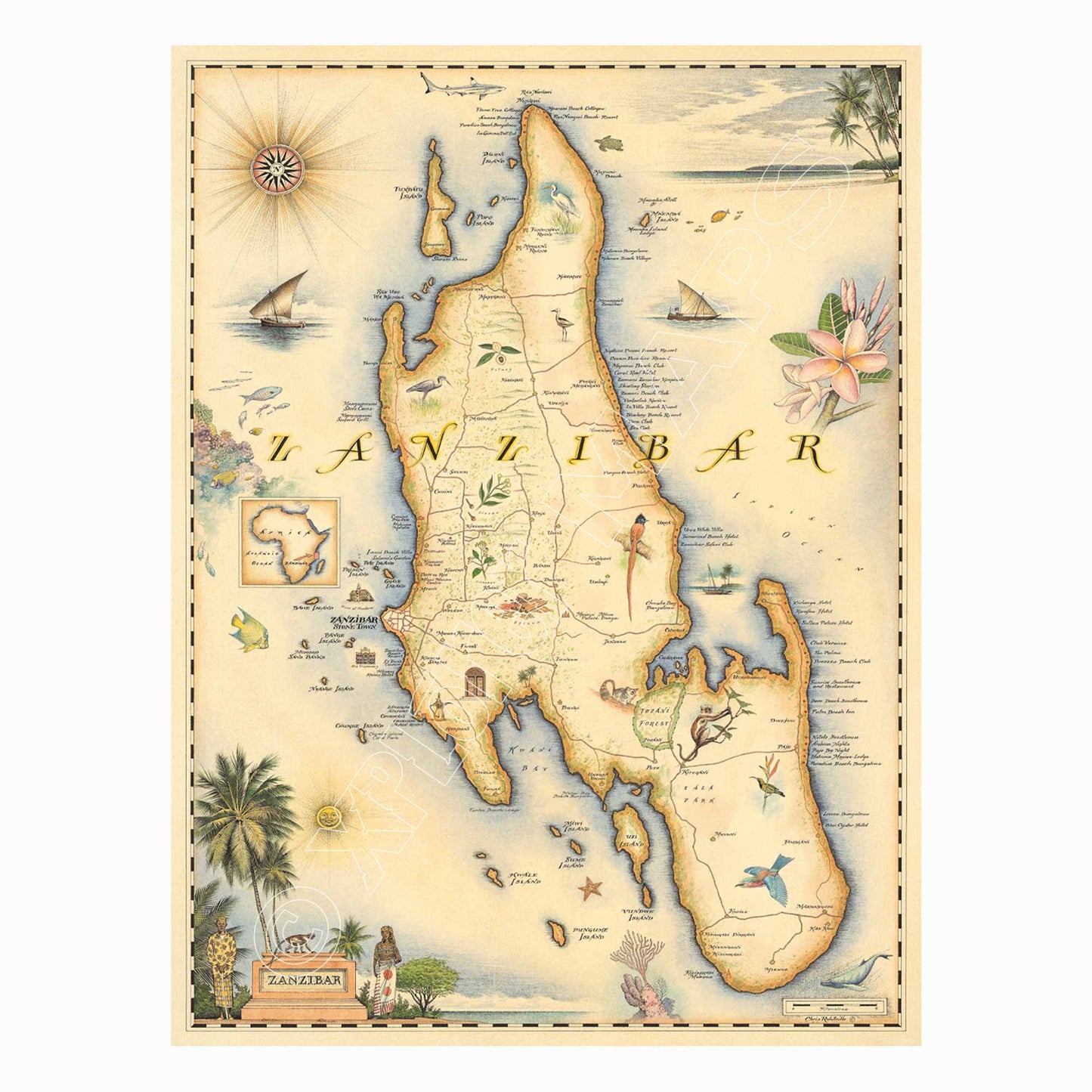 Zanzibar 1000 Piece Jigsaw Puzzle Xplorer Maps