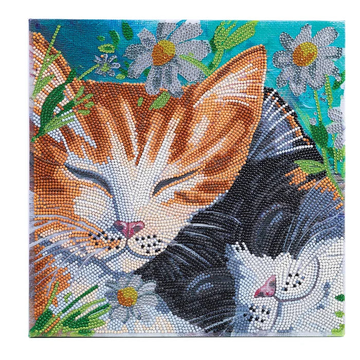 Sleepy Cats Crystal Art Framed Canvas Kit Craft Buddy