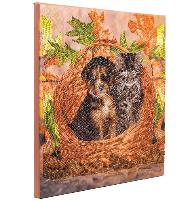 Puppy & Kitten in Basket Crystal Art Framed Canvas Kit Craft Buddy