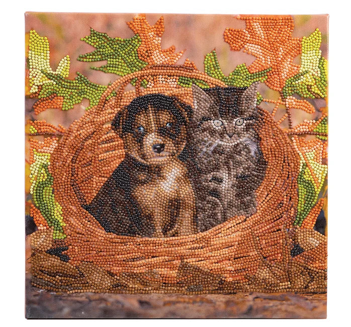 Puppy & Kitten in Basket Crystal Art Framed Canvas Kit Craft Buddy