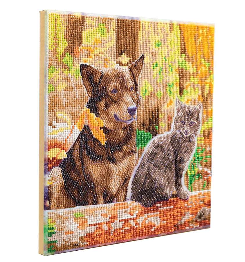 Cat & Dog in the Woods Crystal Art Framed Canvas Kit Craft Buddy