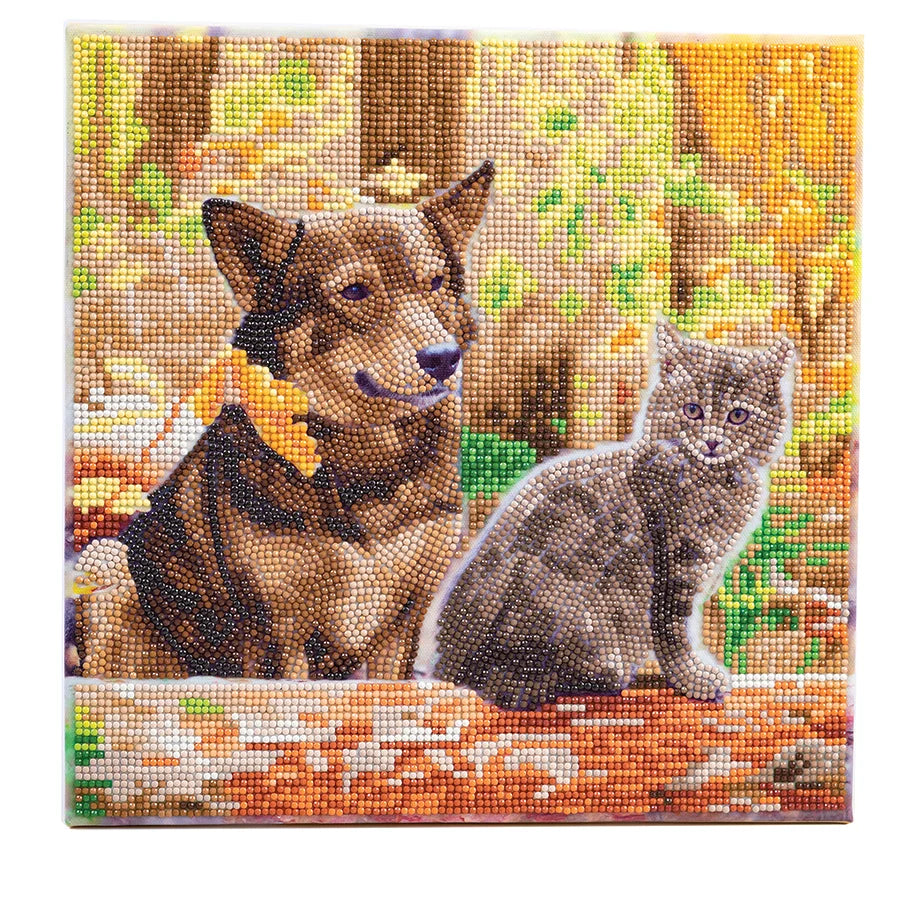 Cat & Dog in the Woods Crystal Art Framed Canvas Kit Craft Buddy