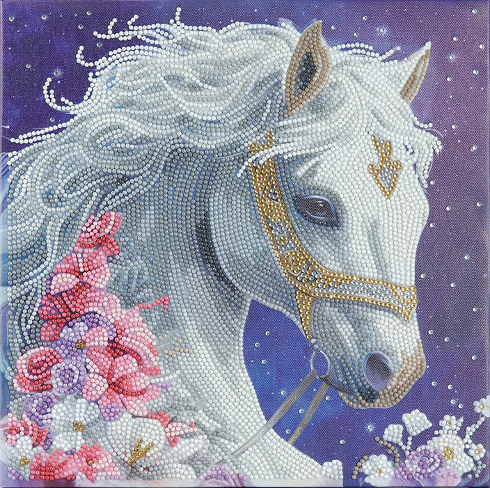 Mystic Beauty Crystal Art Framed Canvas Kit Craft Buddy