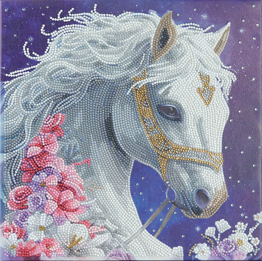 Mystic Beauty Crystal Art Framed Canvas Kit Craft Buddy