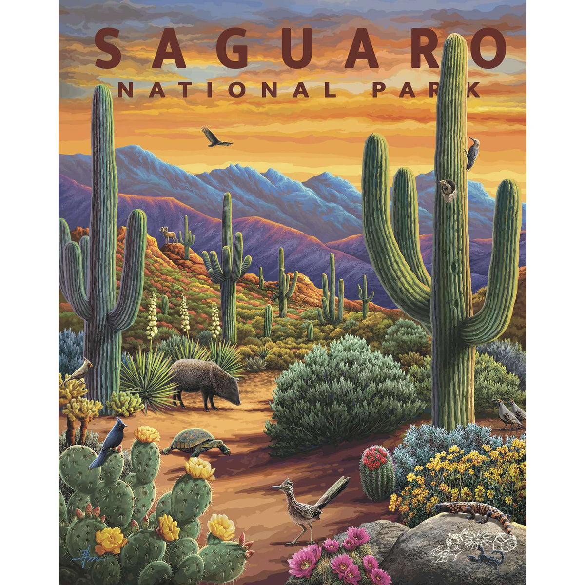 Saguaro National Park 500 Piece Jigsaw Puzzle Boardwalk