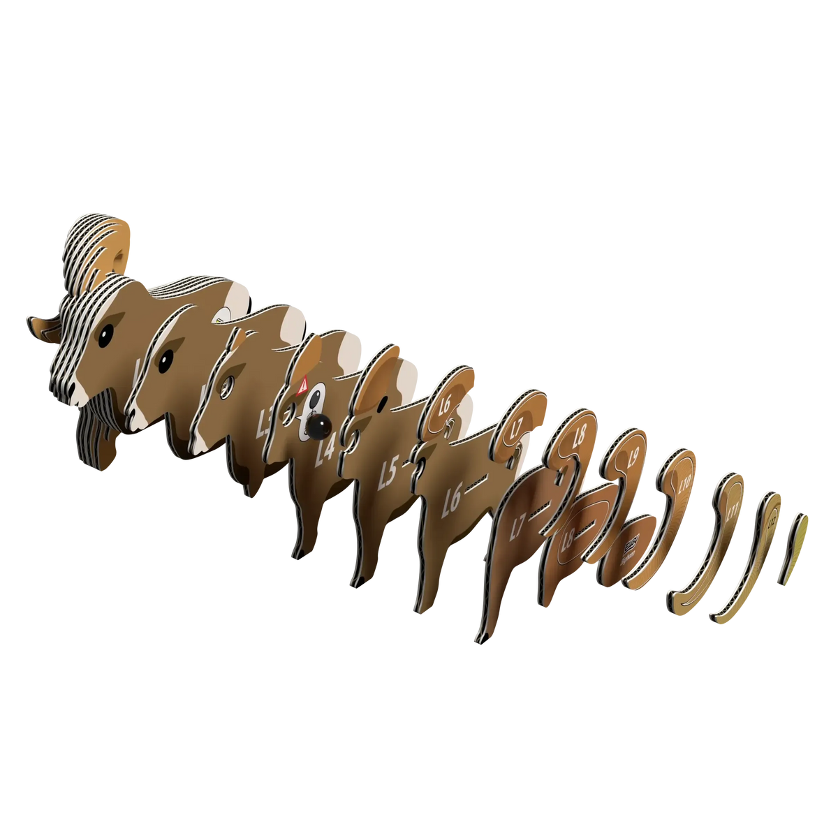 Axolotl 3D Cardboard Model Kit Eugy